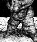 Grave08